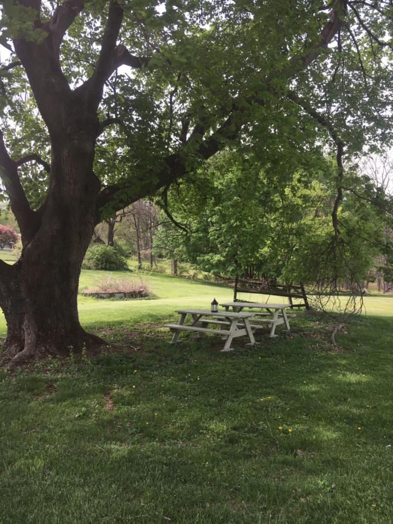 Historic 1850 Log Cabin photo 1