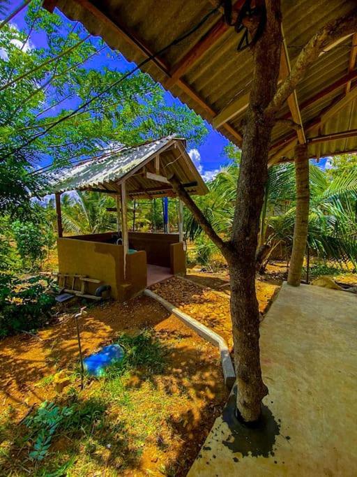 Nelumgala Cottage -Village Experience photo 1