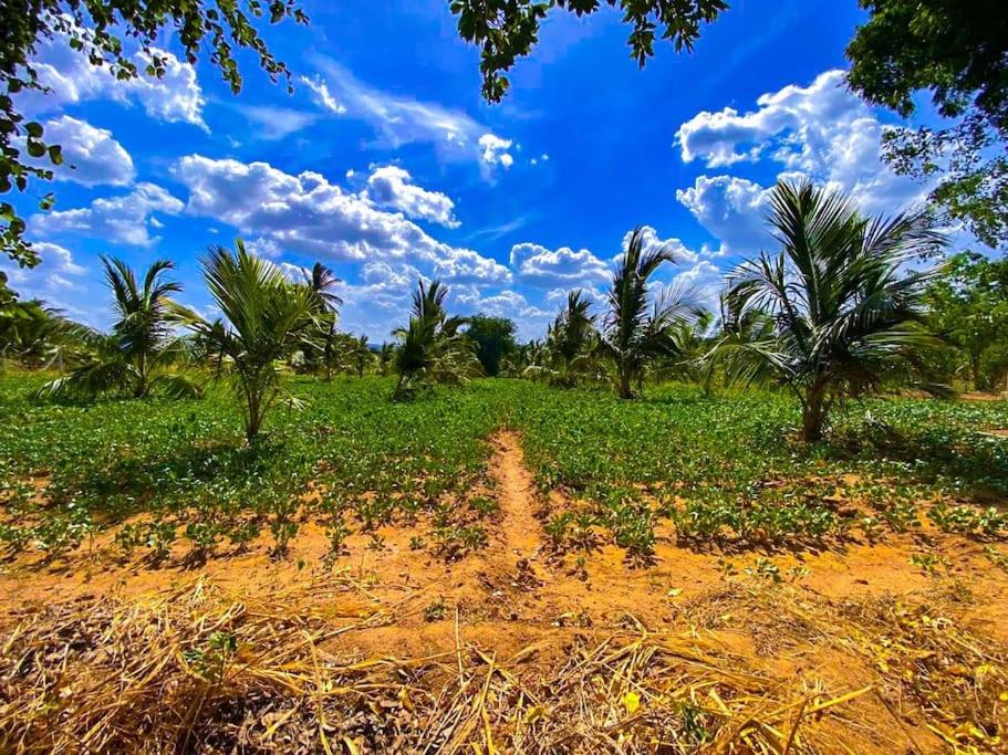 Nelumgala Cottage -Village Experience photo 3