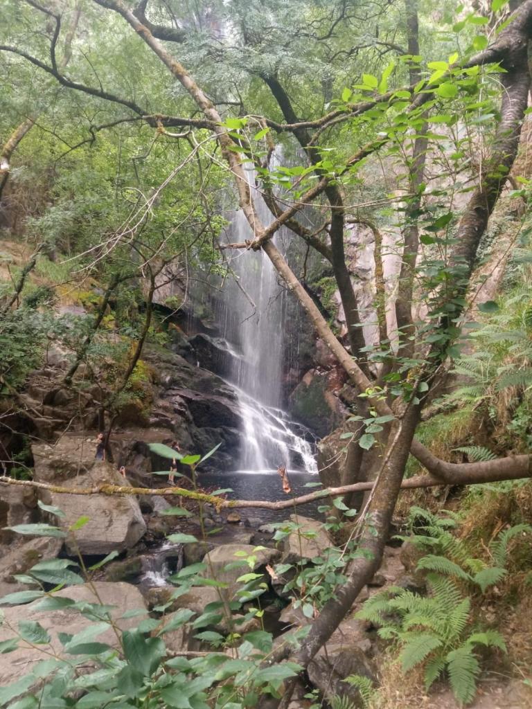 Zoqueiro1 photo 2
