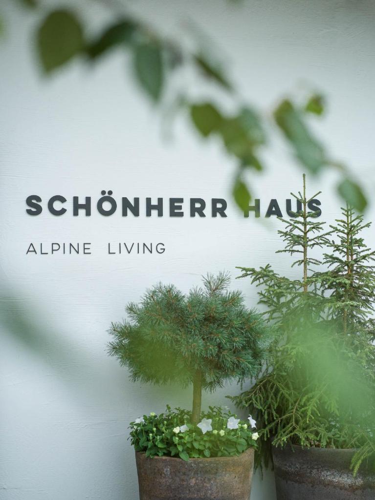 Schönherr Haus photo 4