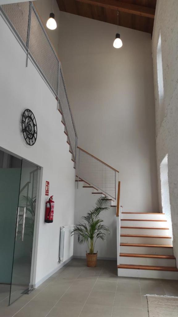 Albergue de Cerceda photo 4