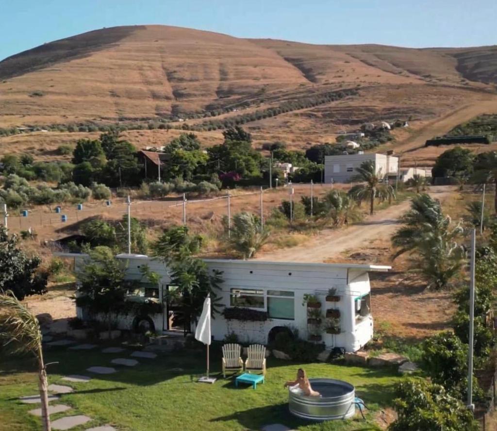 Leobus-לאו באס photo 1