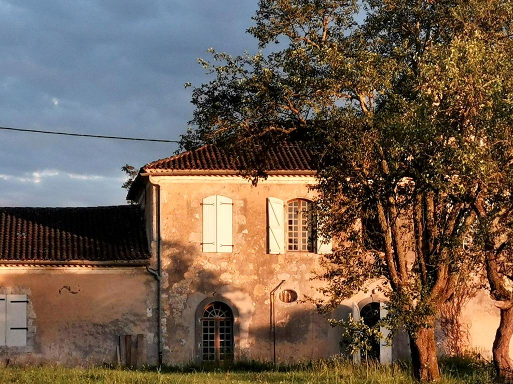 Château d'Esplavis photo 3