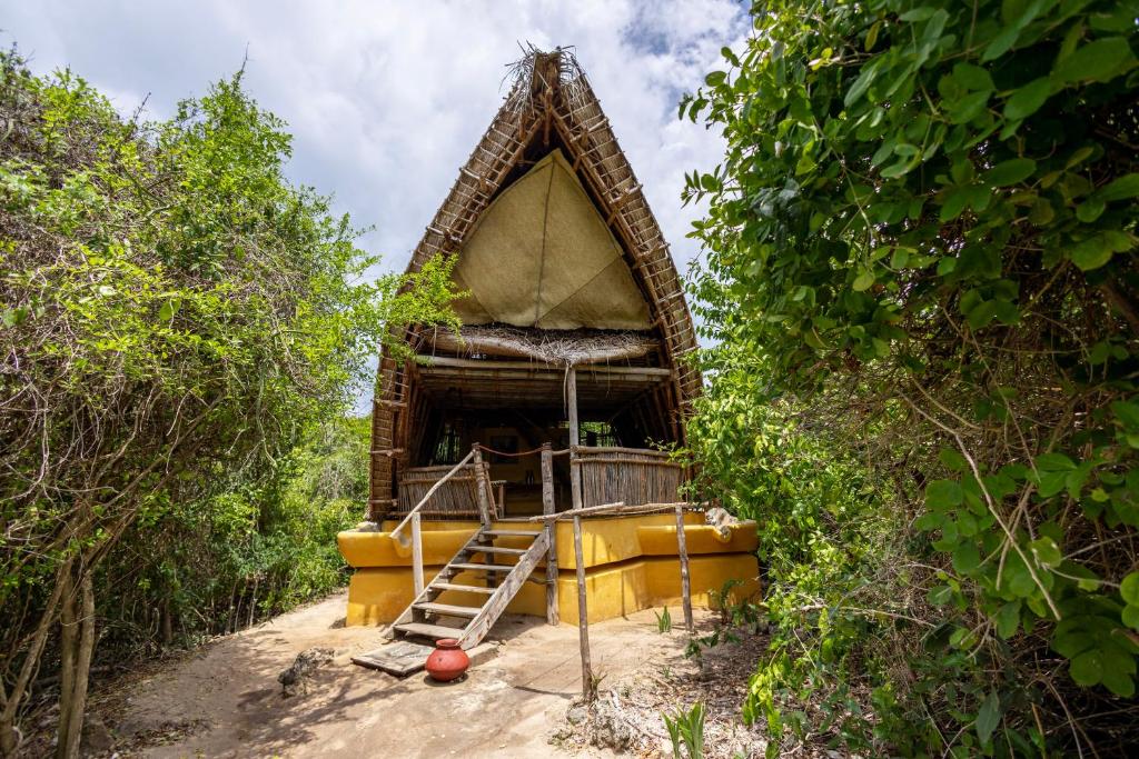 Chumbe Island Coral Park photo 1