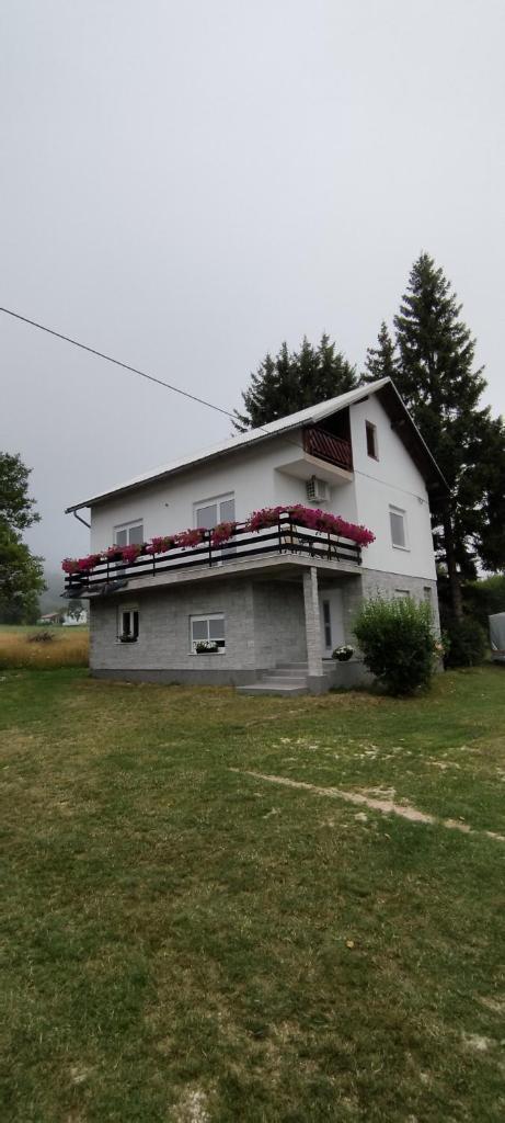 Guest House Laura photo 4
