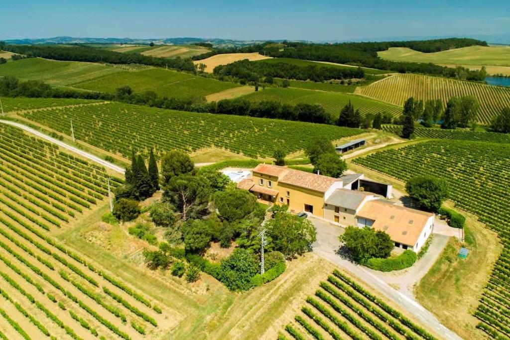 Domaine de Nougayrol Large Luxury Villa with Private Pool, Free WiFi & Parking in Outstanding Vineyard photo 3