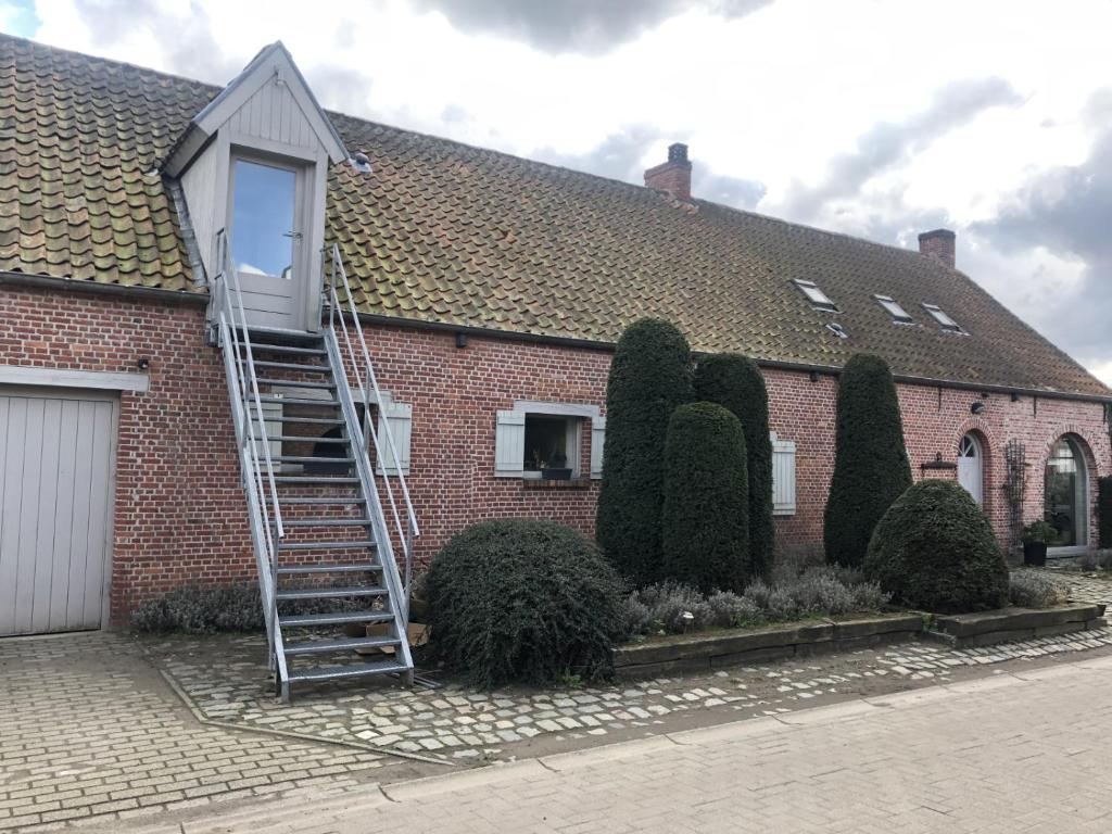 slapen bij alpacas