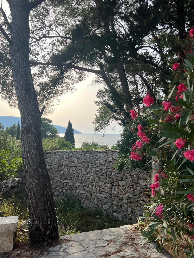 Villa Pinus photo 1