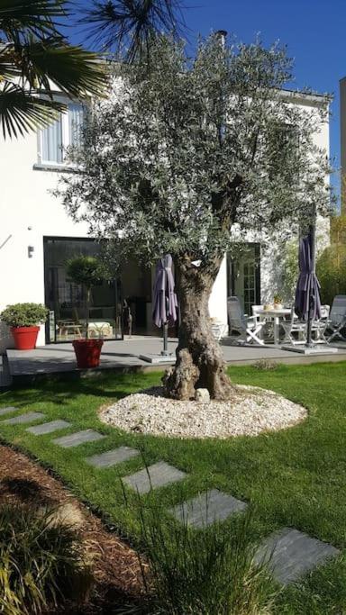 Chez Lily photo 1