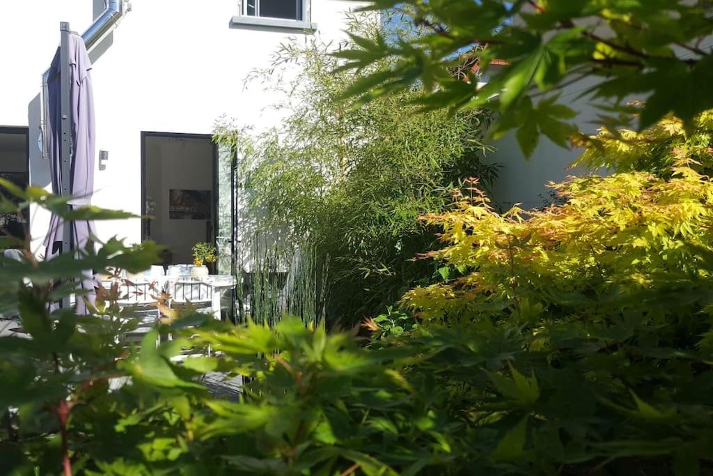 Chez Lily photo 2