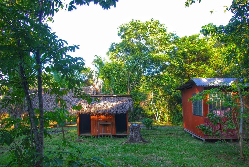Niwe Mai plant medicine retreat photo 3