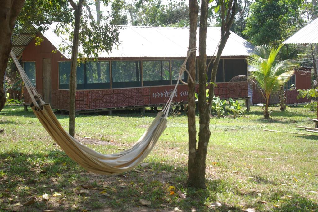 Niwe Mai plant medicine retreat photo 4