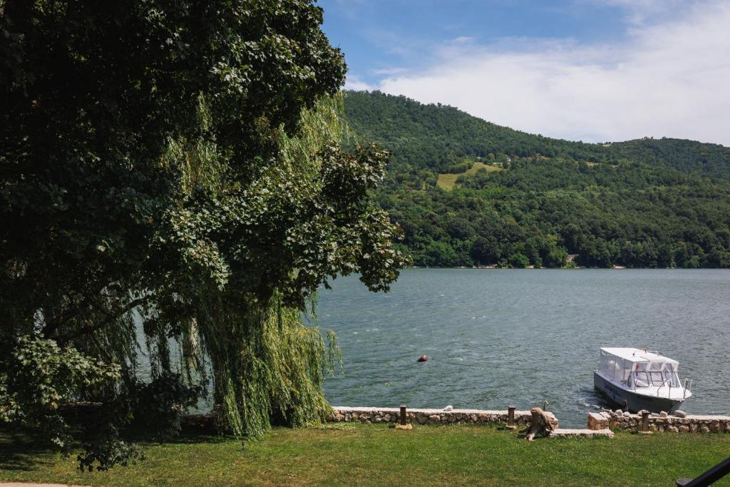 Zeleni zaliv-The Green Bay photo 1