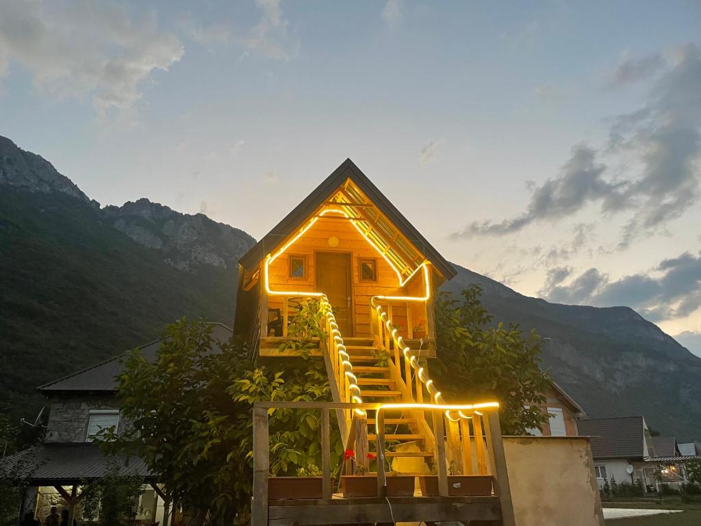 TREEHOUSE The blue eye Vusanje