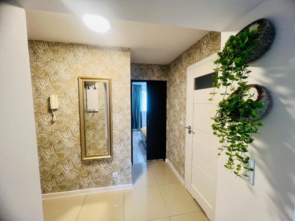 Apartament Liść photo 4