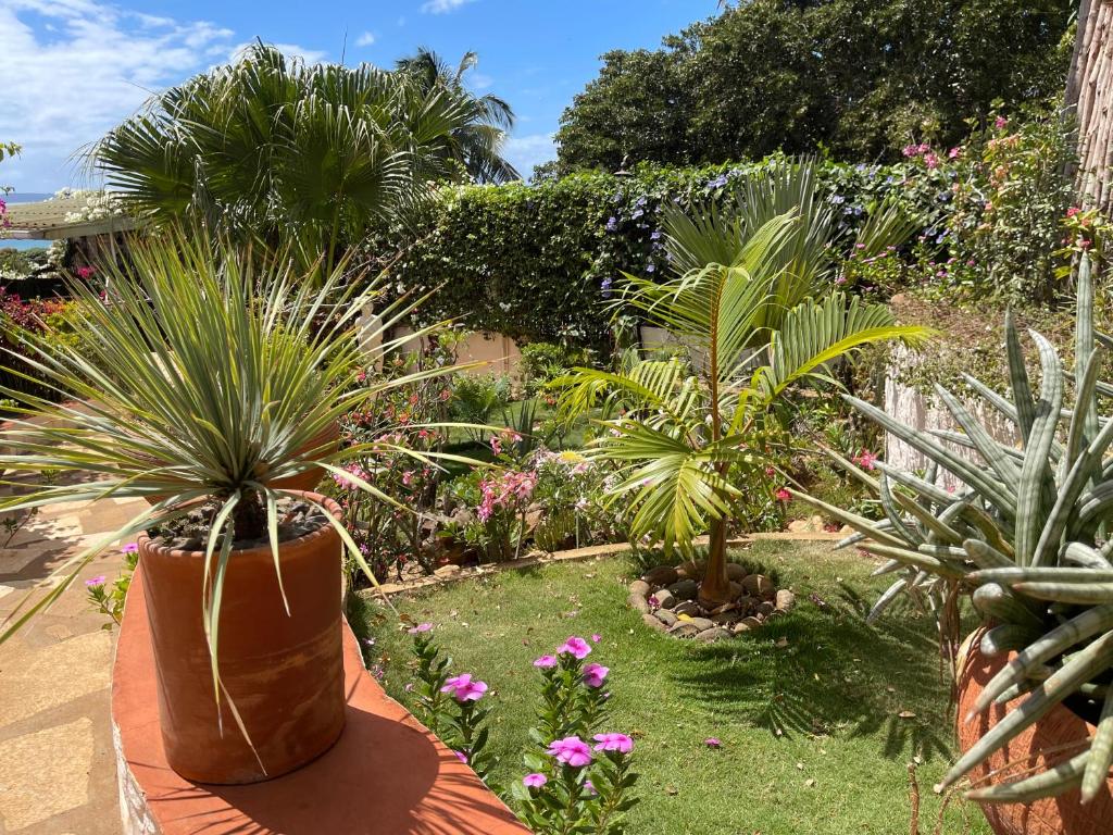 Le Jardin Exotique Hotel photo 4