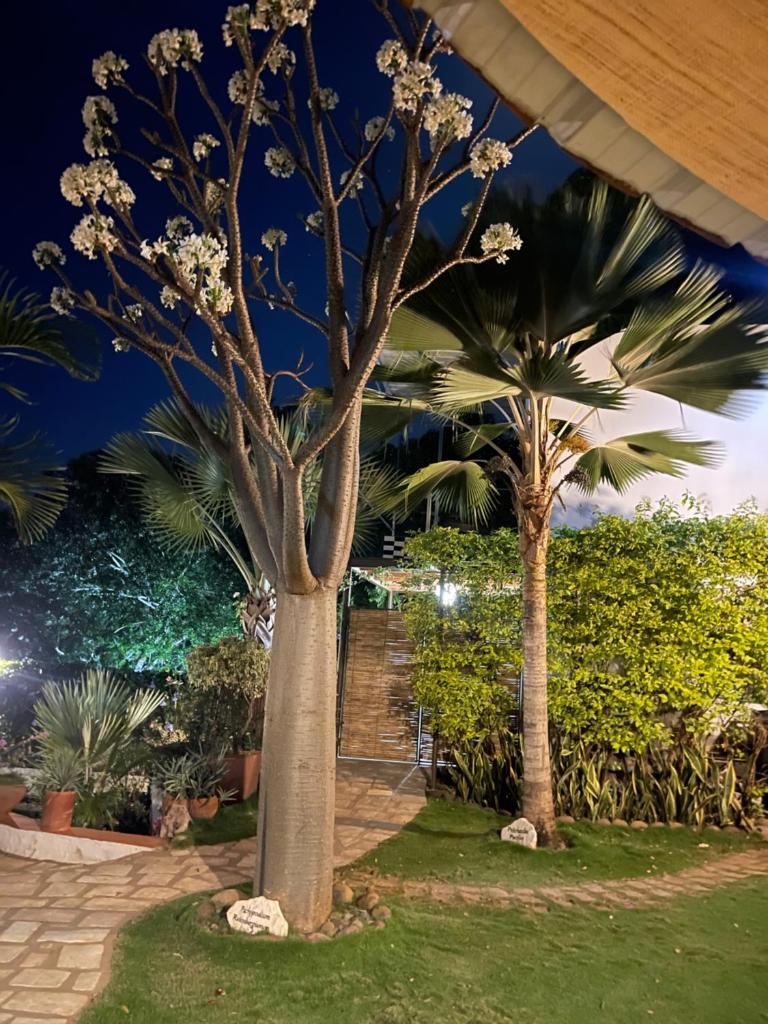 Le Jardin Exotique Hotel photo 1