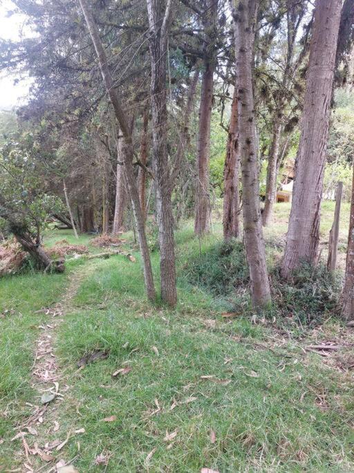 Casa del Rio in the Andes photo 2
