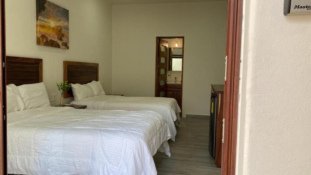 San pancho bungalows photo 2