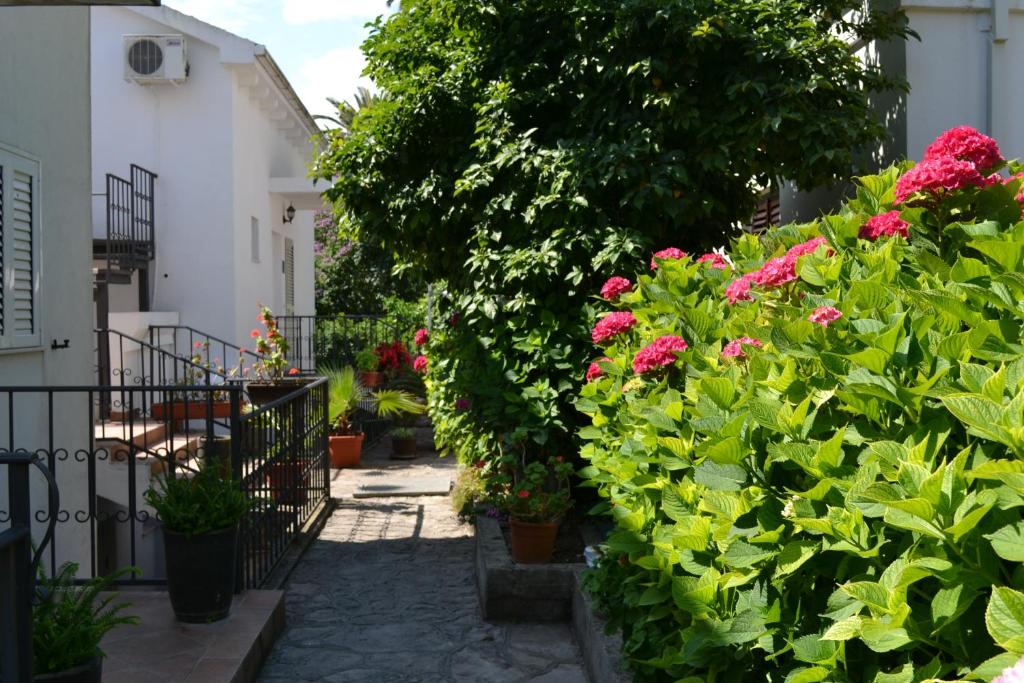 Апартаменты (Апартаменты с 1 спальней и видом на море), Luka Apartments