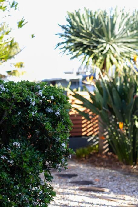 Pippi Beach Bungalow photo 4