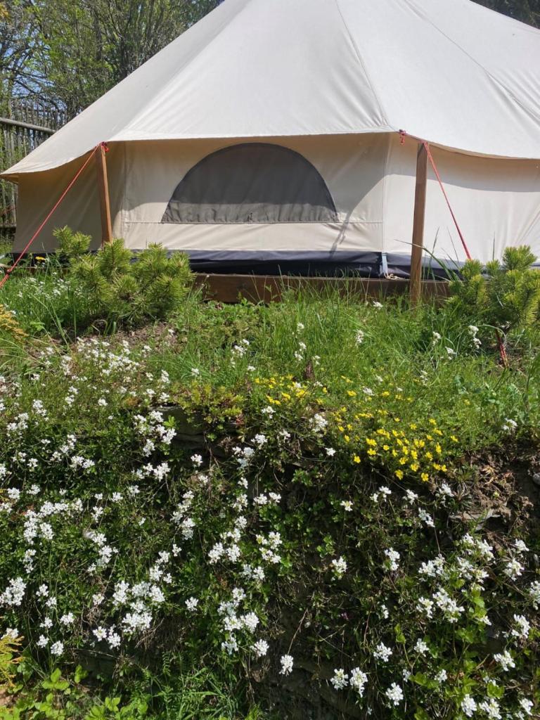 Hvězdný glamping photo 4