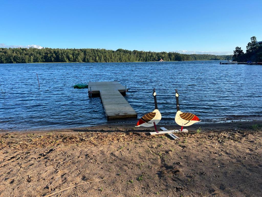 Luxory Vättern Lake Villa photo 1