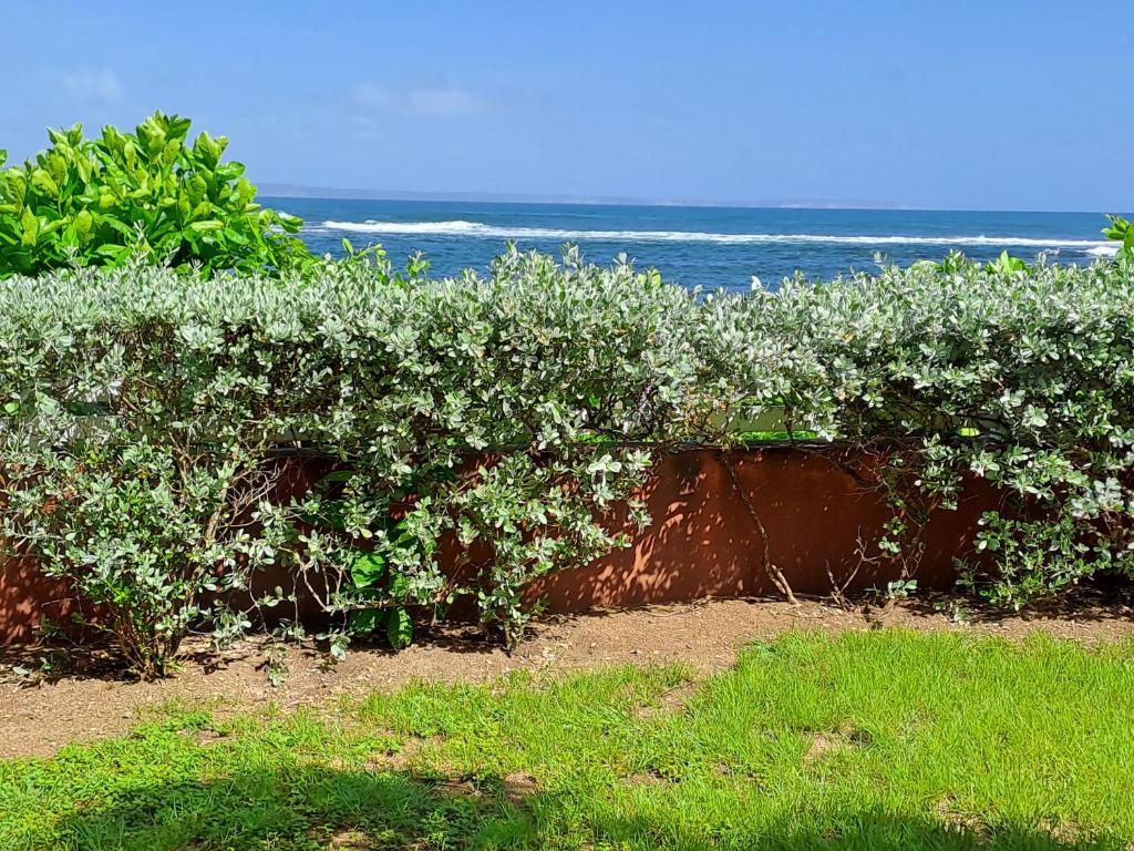 RDC appartement en bord de mer au son des vagues photo 4