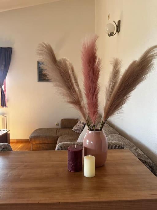 Apartman “Snježana” photo 1