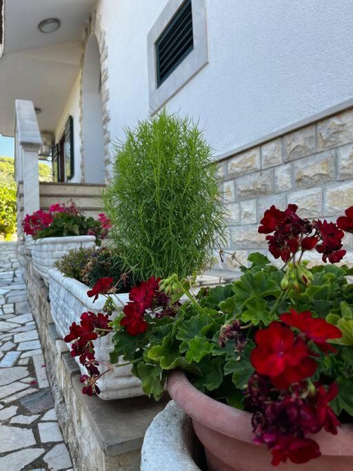 Apartman “Snježana” photo 3