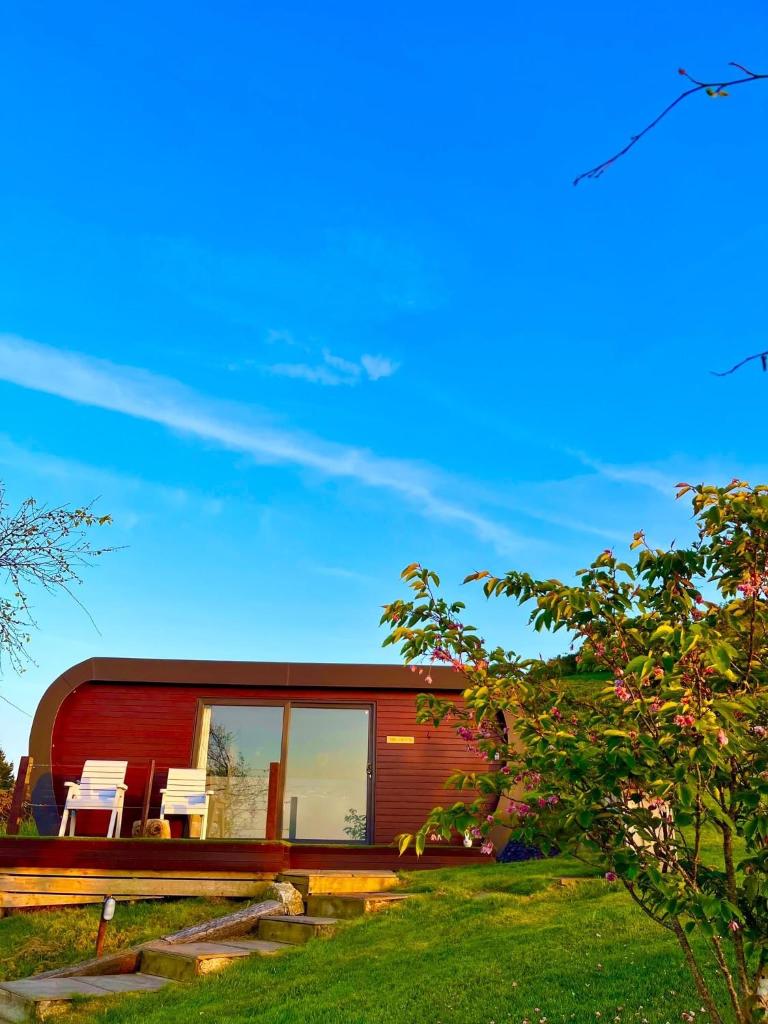 The Pod & Cwtch luxury accommodation photo 3
