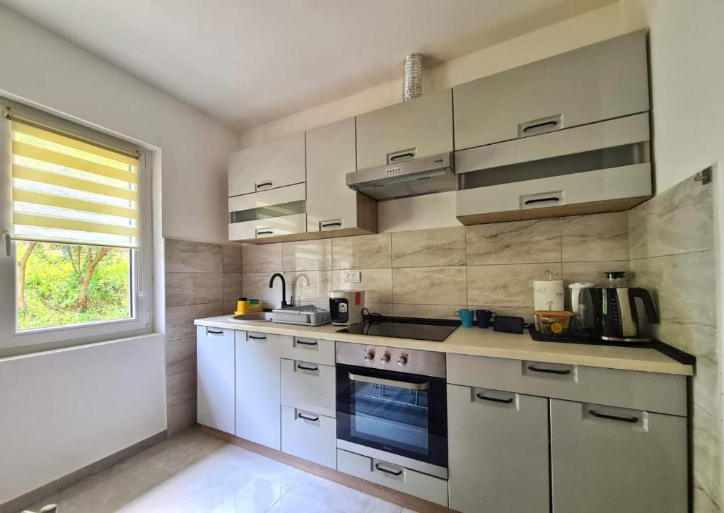 Apartman Berlin Sokobanja photo 3