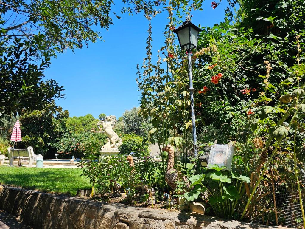 Las Jaras photo 3
