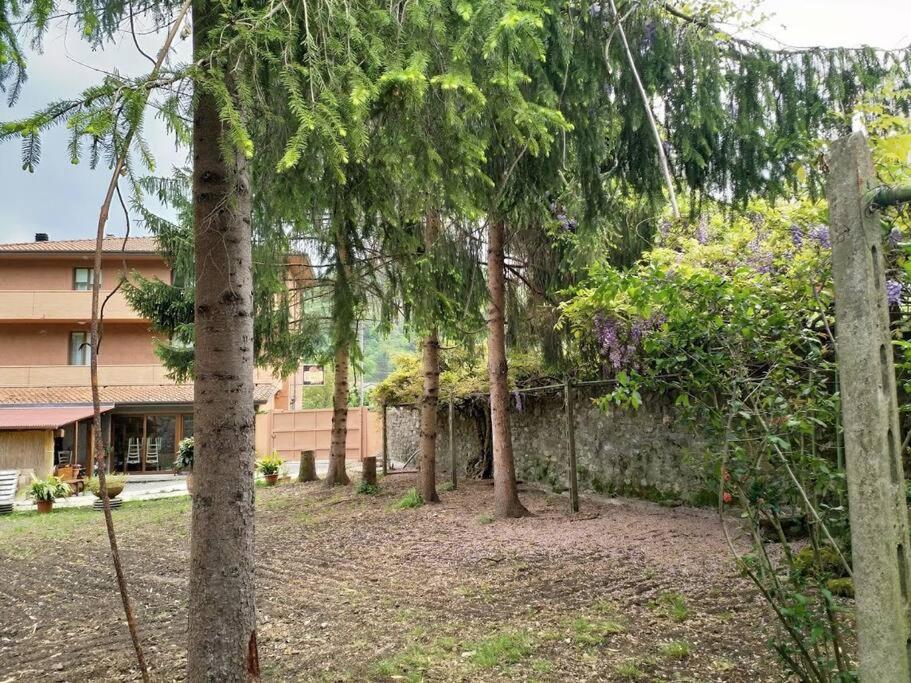 Mulino photo 4