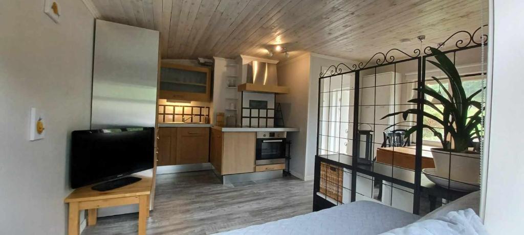 Cozy studio near sea, forest and town photo 1