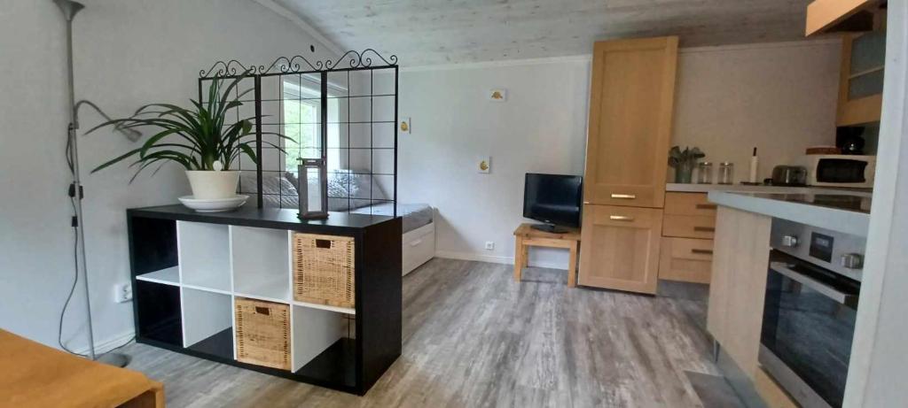 Cozy studio near sea, forest and town photo 3