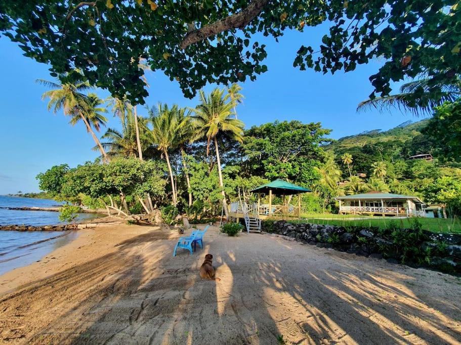 RAIATEA, OPOA, Fare Rêvé, Bord de mer photo 2