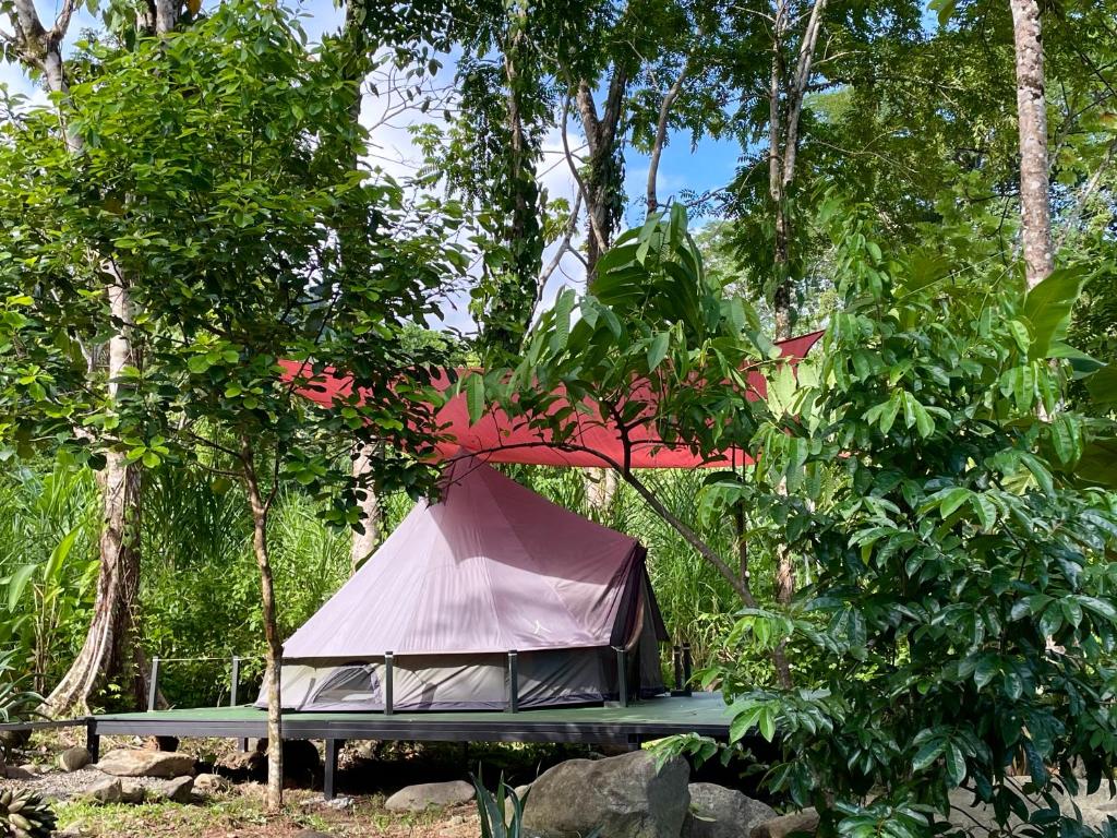 Glamping Uvita River photo 2