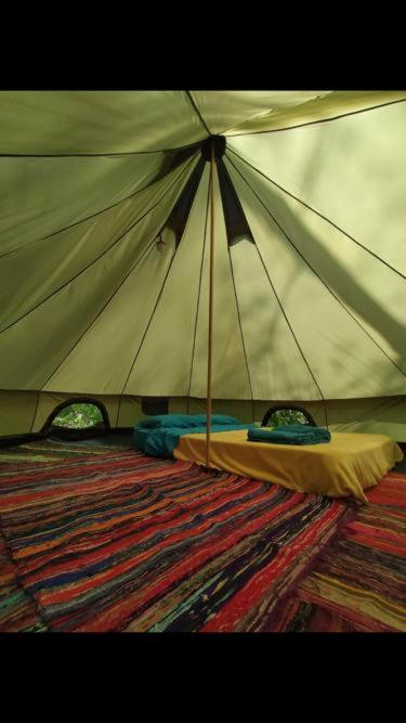 Glamping Uvita River photo 4