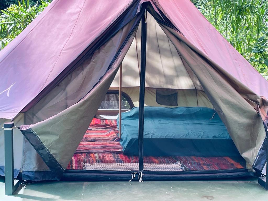 Glamping Uvita River photo 3