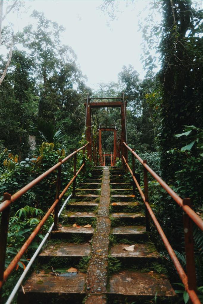 Rainforest View Hostal And Rainforest Tours photo 1