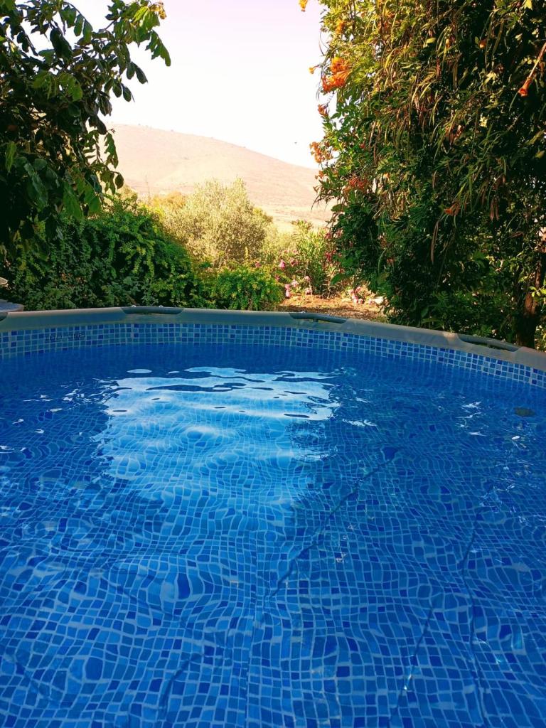 Tafat's Haven Lodge photo 1