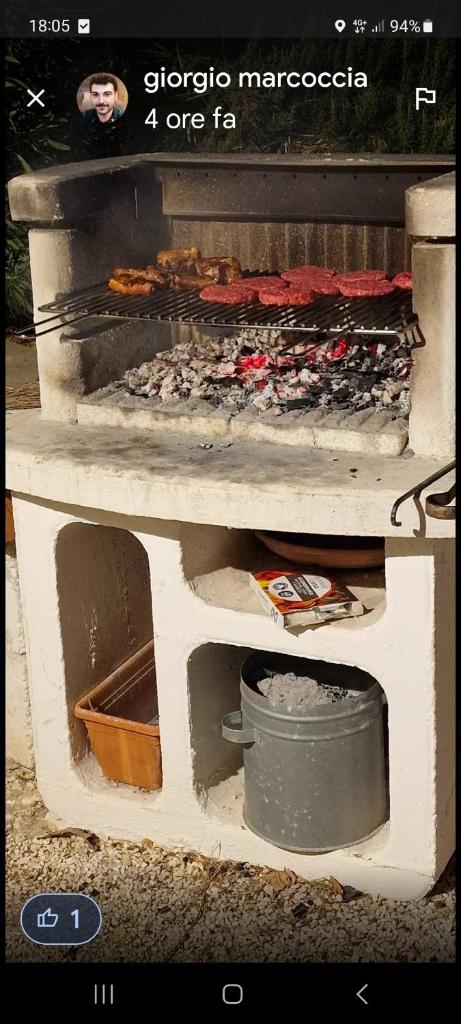 al vecchio ulivo photo 3