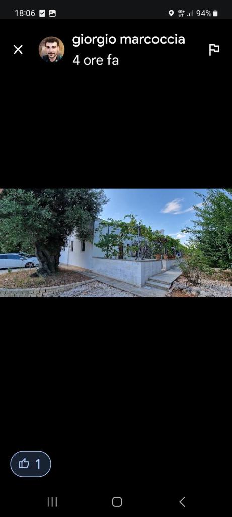 al vecchio ulivo photo 2