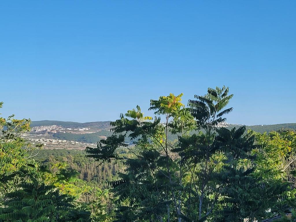 הבית באשכולות photo 1