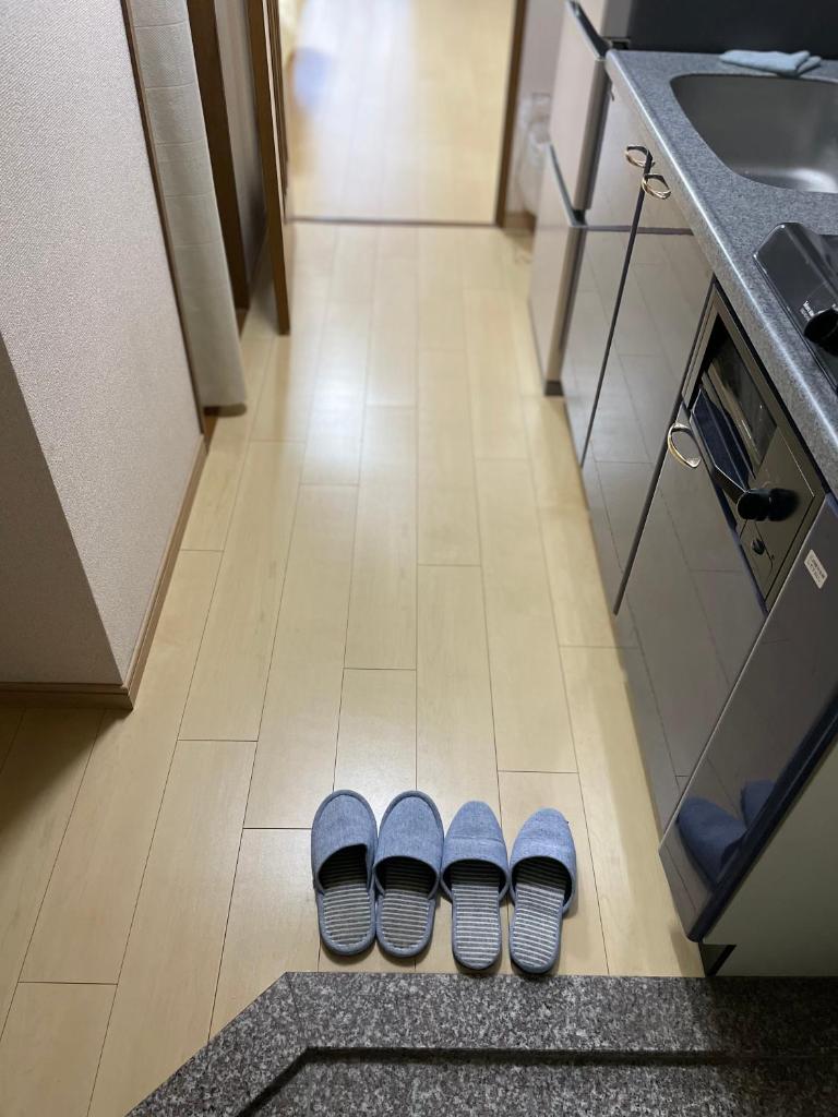 First Hiroshima photo 2