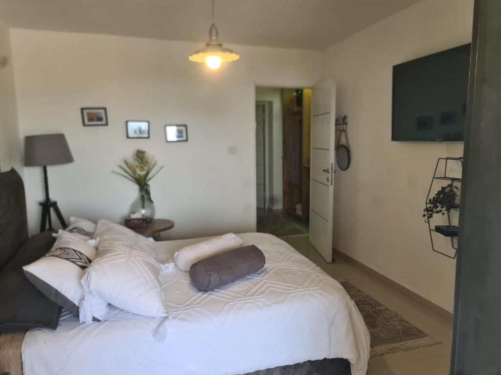 ronit's place photo 3