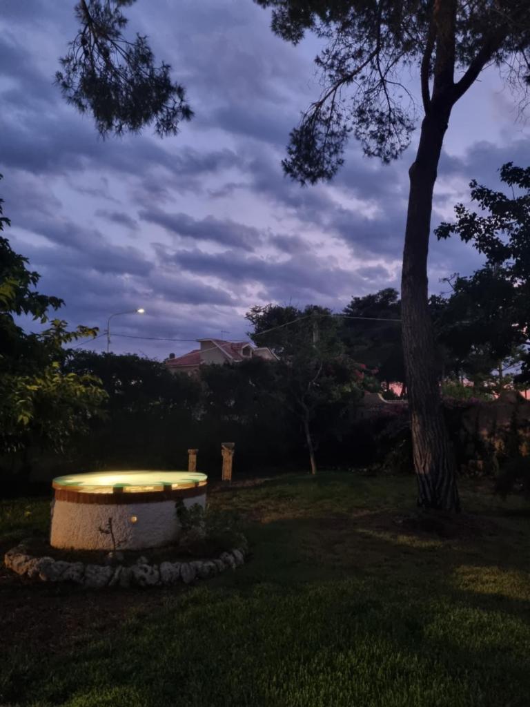Casa Vacanze Arenella photo 1