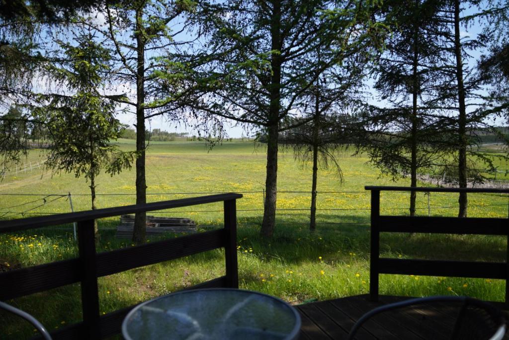 Wieżyca Sominy photo 2